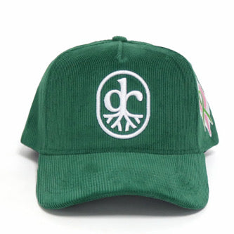 Deeply Rooted x TEiTR